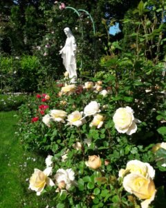 img 20210525 102405 506