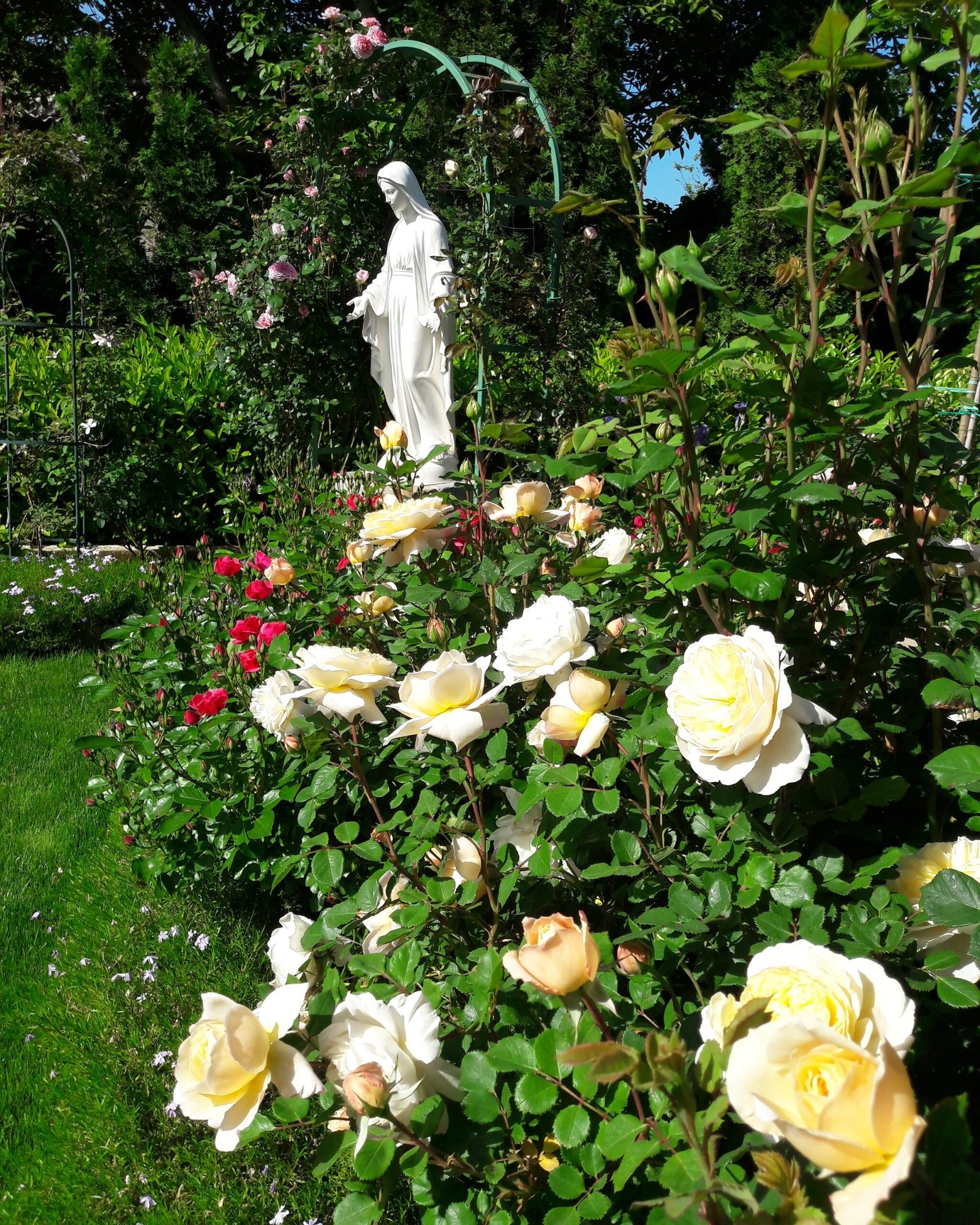 img 20210525 102405 506