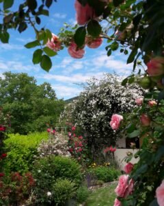 img 20210607 083325 618