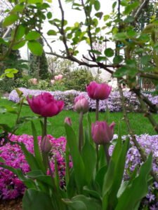 kopija datoteke 20190410 130306