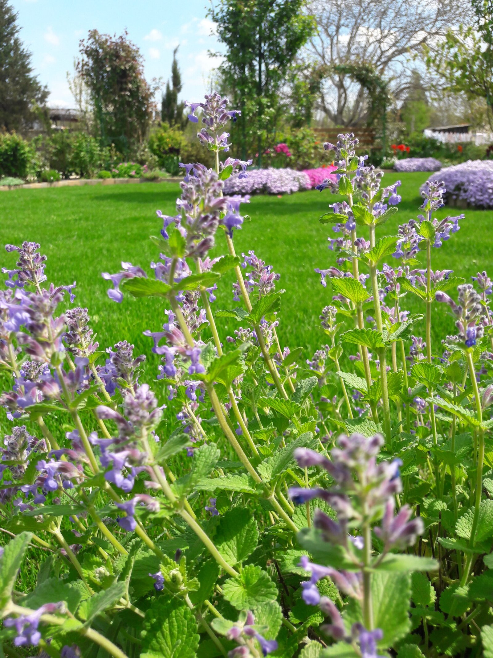 kopija datoteke 20190416 141752