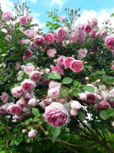 kopija datoteke 20200531 182023