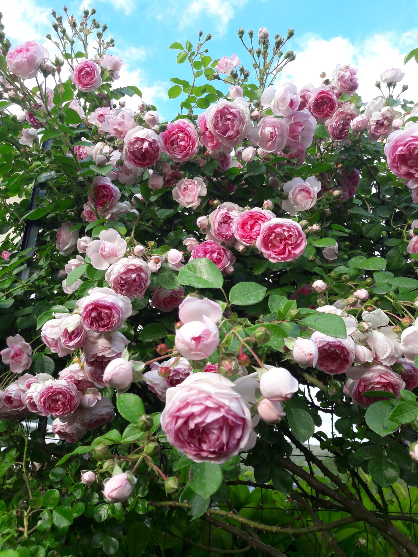 kopija datoteke 20200531 182023