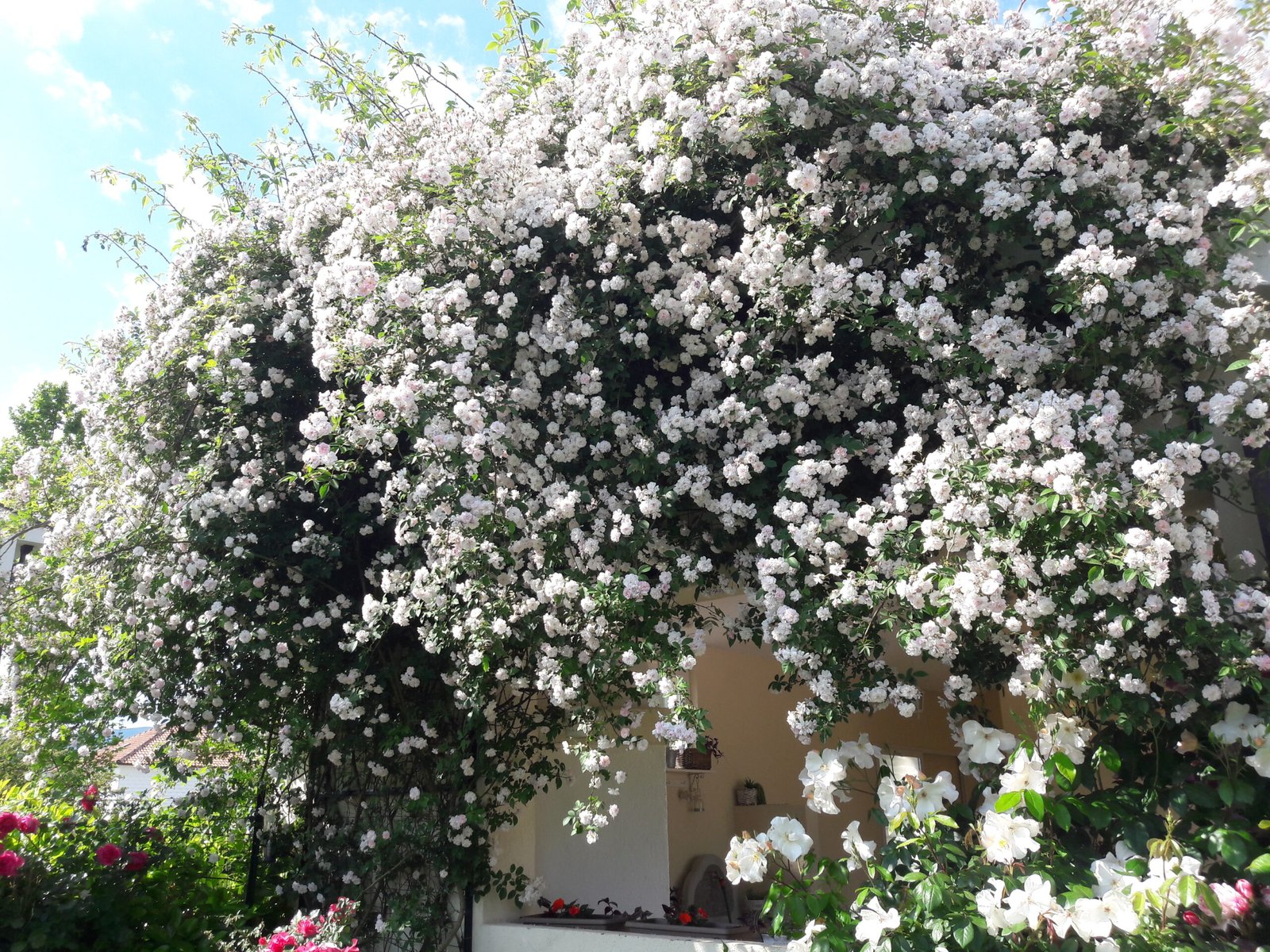 kopija datoteke 20210602 160319