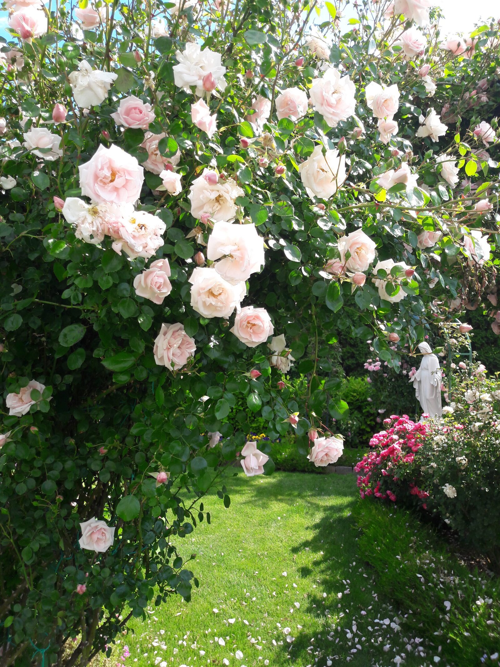 kopija datoteke 20210602 160402