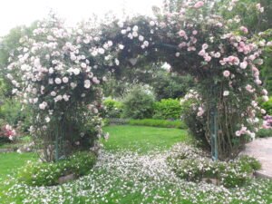 kopija datoteke 20210607 101806