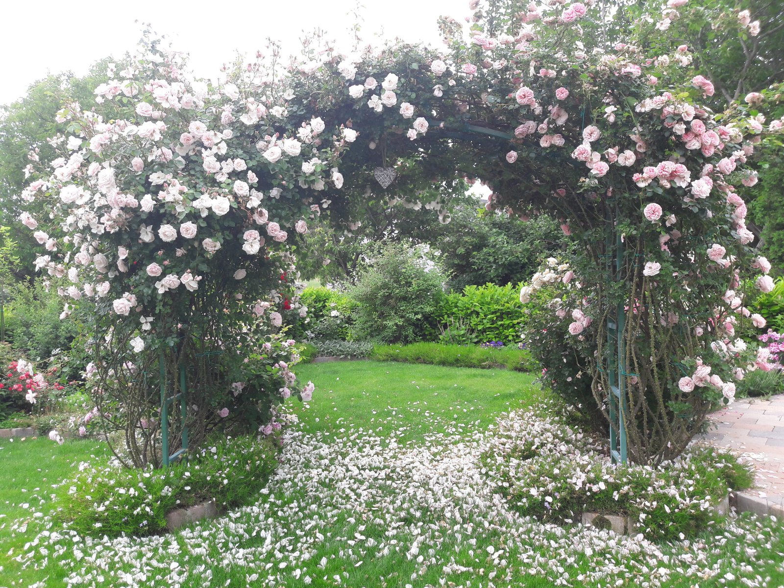 kopija datoteke 20210607 101806