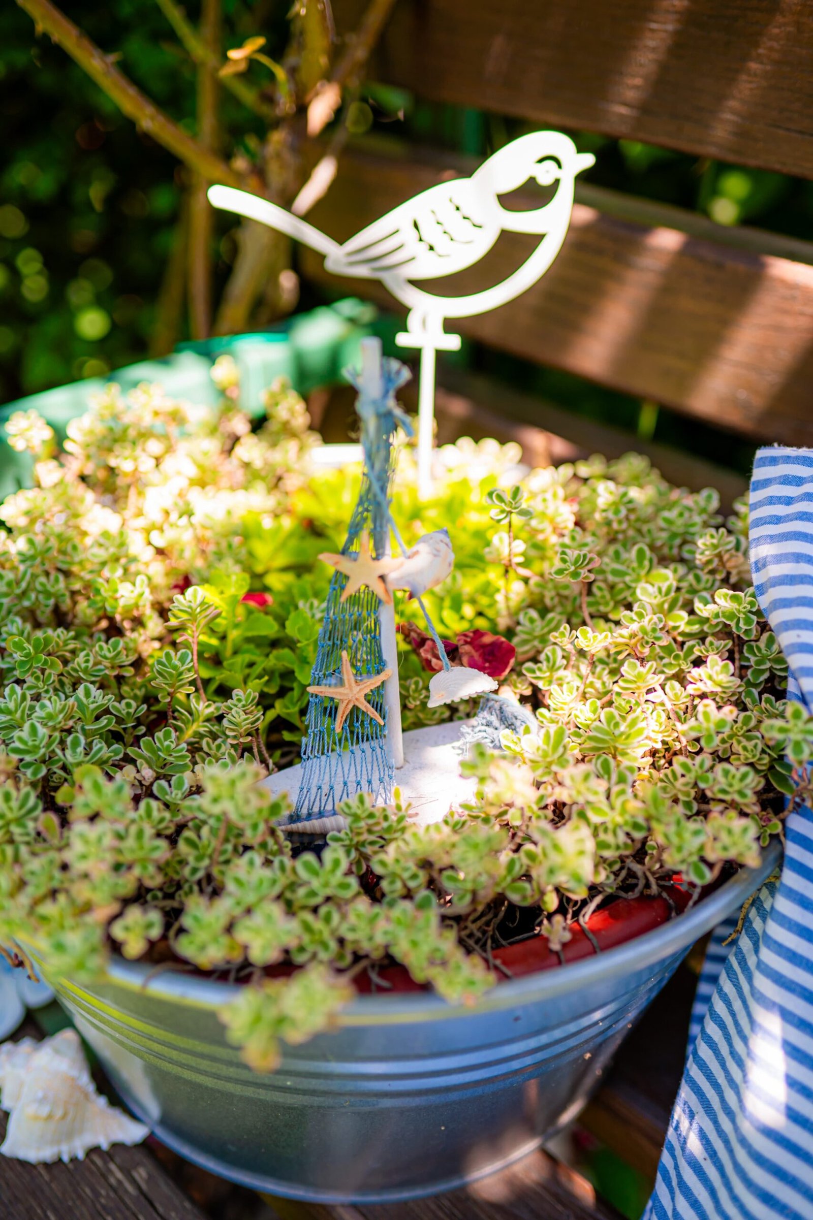 kopija datoteke img 20250123 wa0011