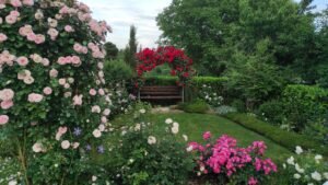 kopija datoteke img 20230601 190113