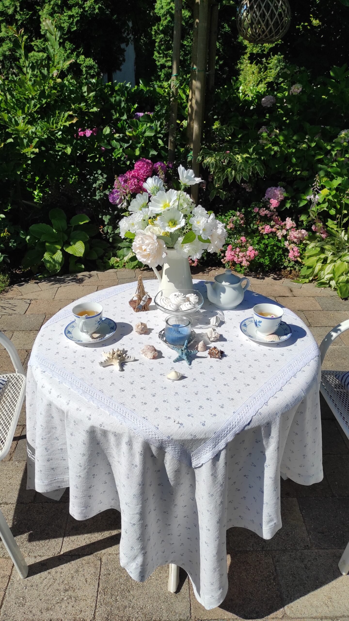 kopija datoteke img 20240615 093046