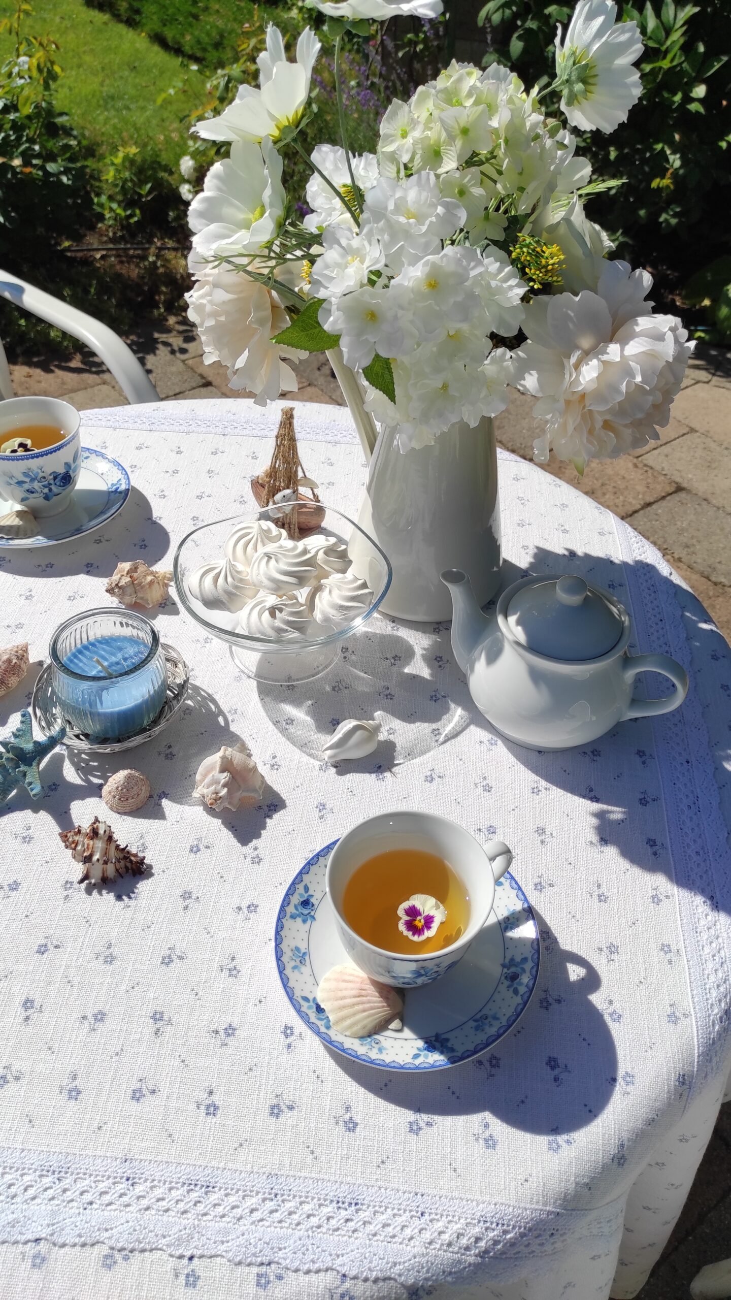 kopija datoteke img 20240615 093121