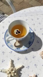 kopija datoteke img 20240615 093221