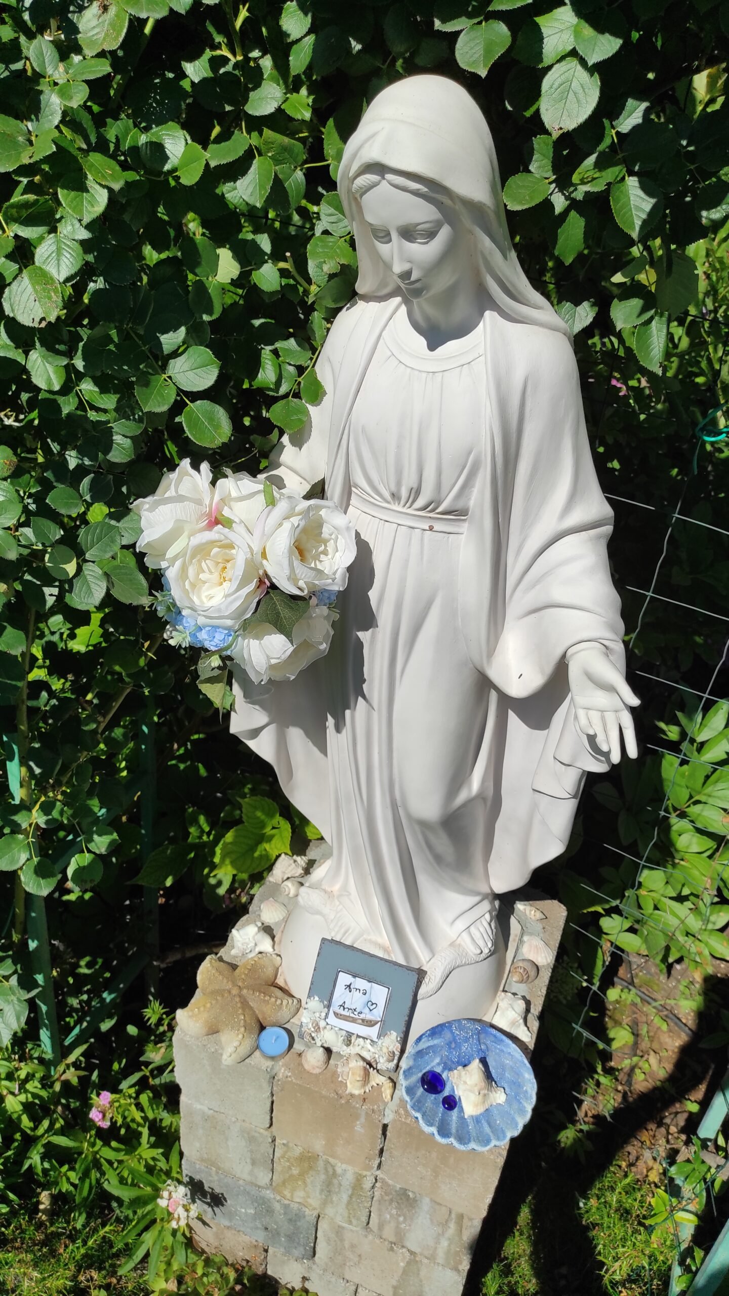 kopija datoteke img 20240615 093545