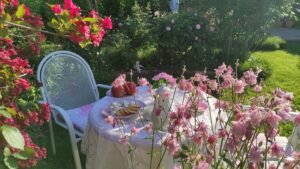 kopija datoteke img 20250514 175617