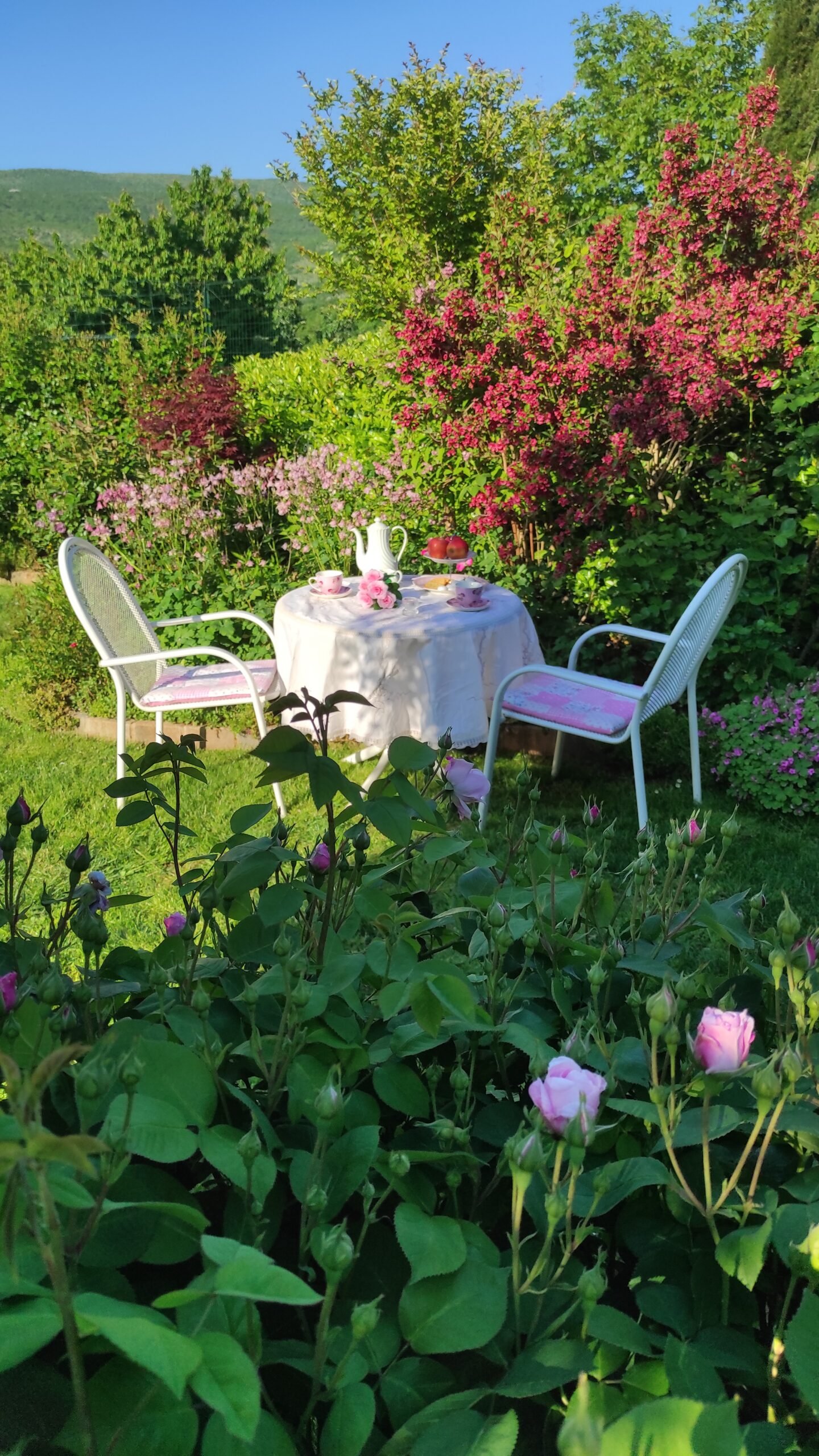 kopija datoteke img 20250514 180006