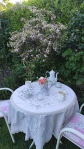 kopija datoteke img 20250514 184148 1