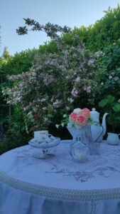 kopija datoteke img 20250514 184203 1