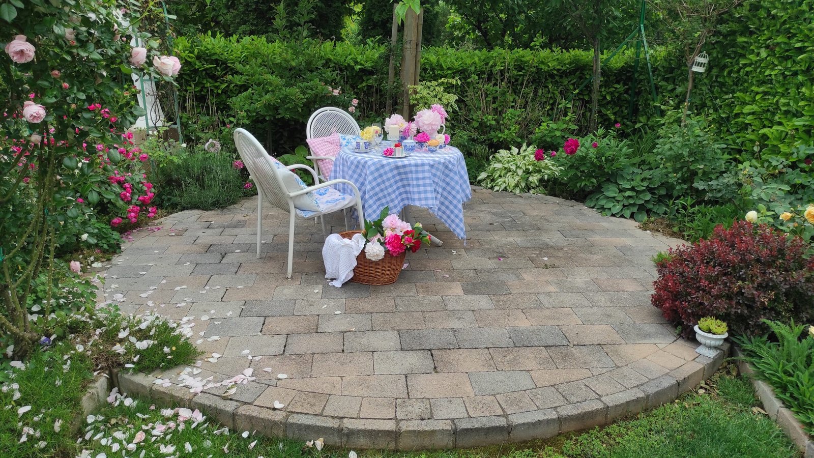 kopija datoteke img 20250522 164533