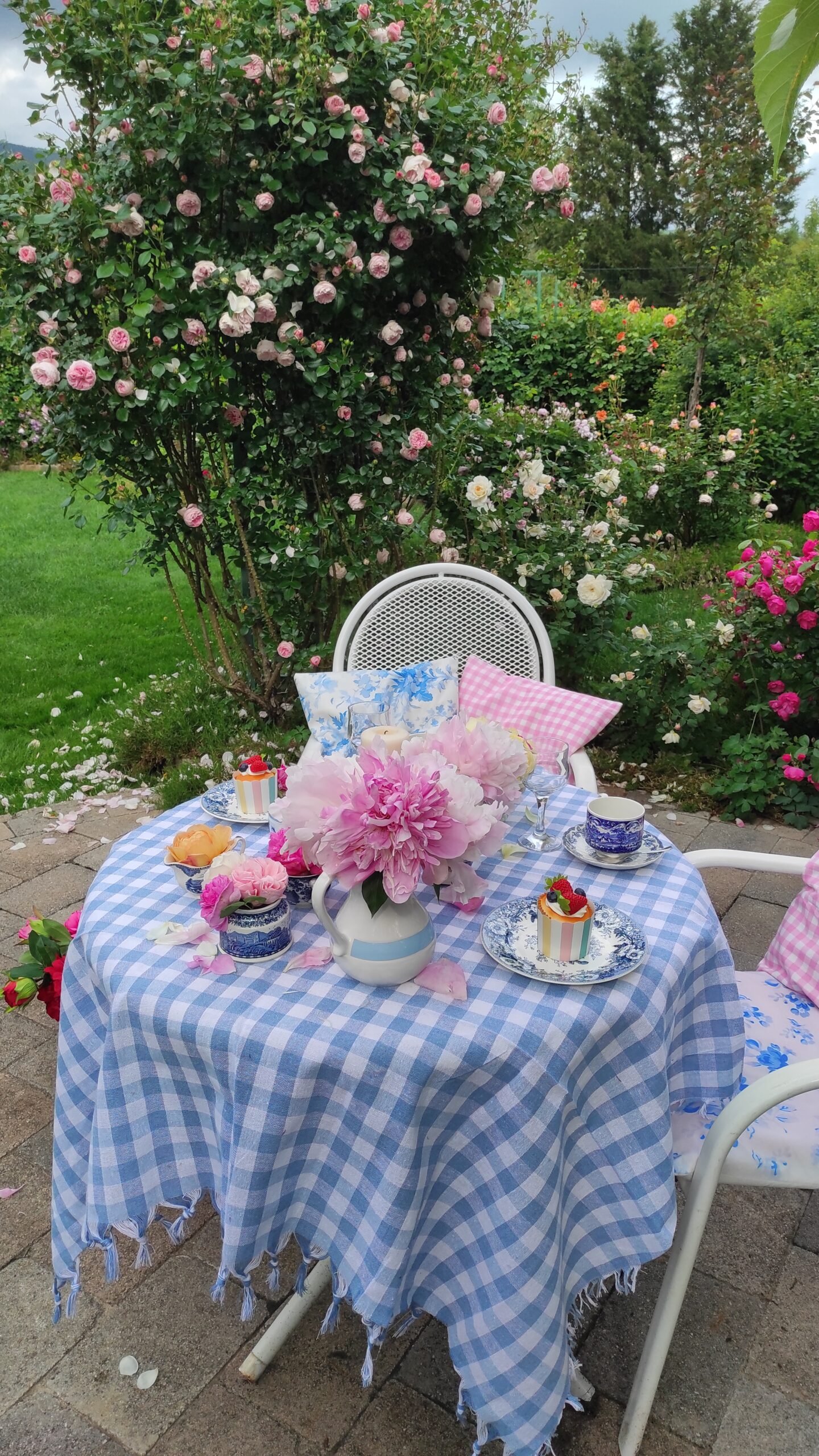 kopija datoteke img 20250522 164714