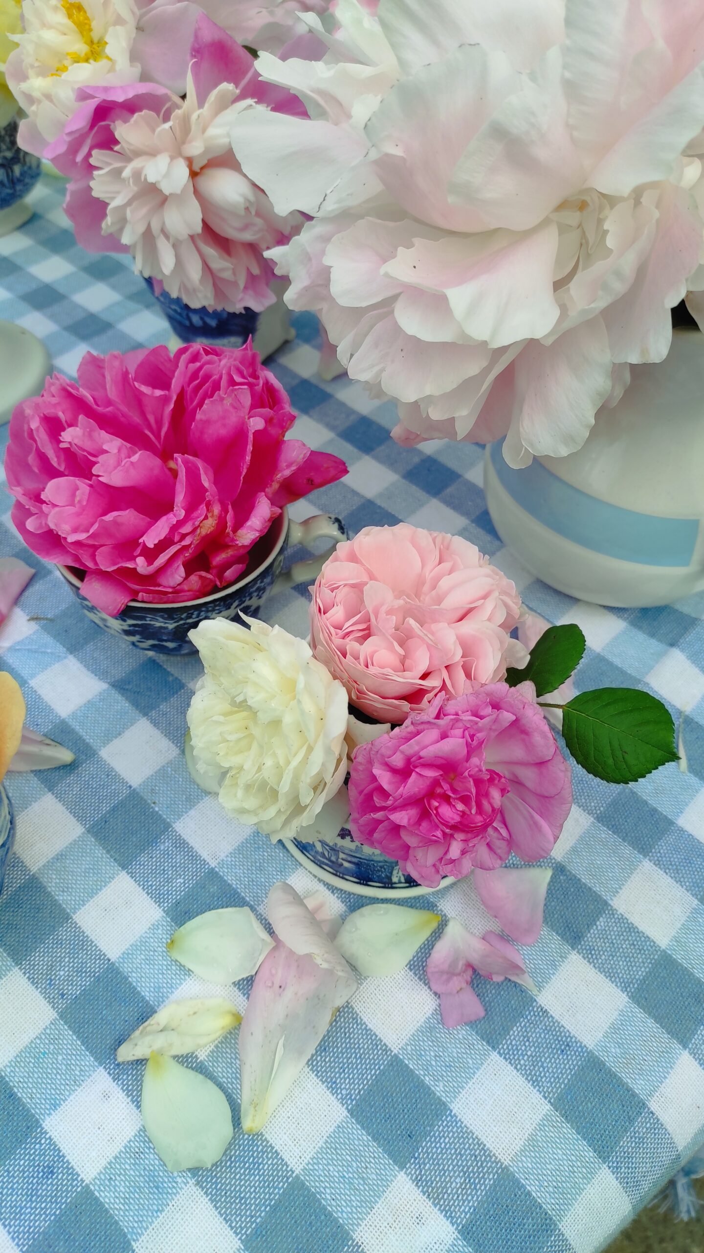 kopija datoteke img 20250522 164741