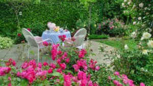 kopija datoteke img 20250522 164959