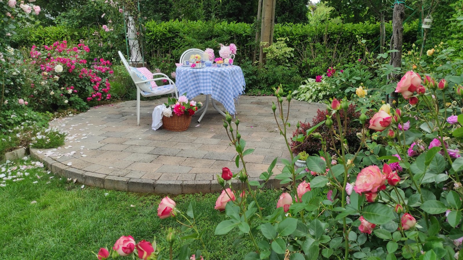 kopija datoteke img 20250522 165121