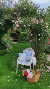 kopija datoteke img 20250522 165955