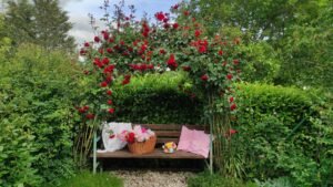 kopija datoteke img 20250522 171100