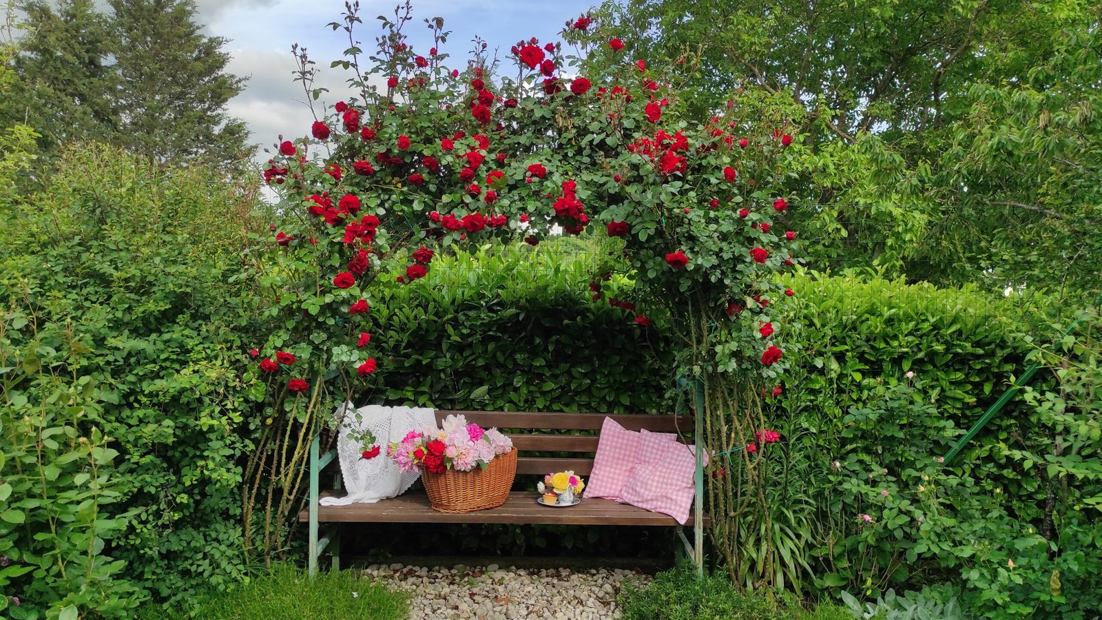 kopija datoteke img 20250522 171100