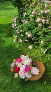 kopija datoteke img 20250522 171448