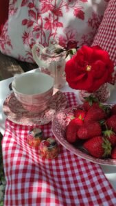 kopija datoteke img 20250527 122323