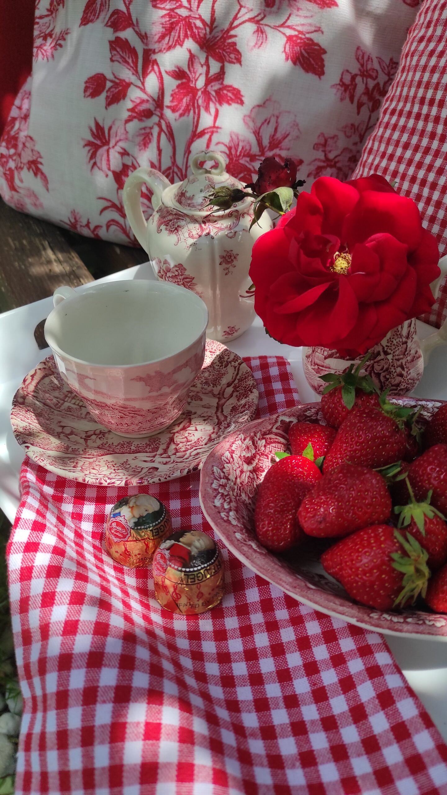 kopija datoteke img 20250527 122323