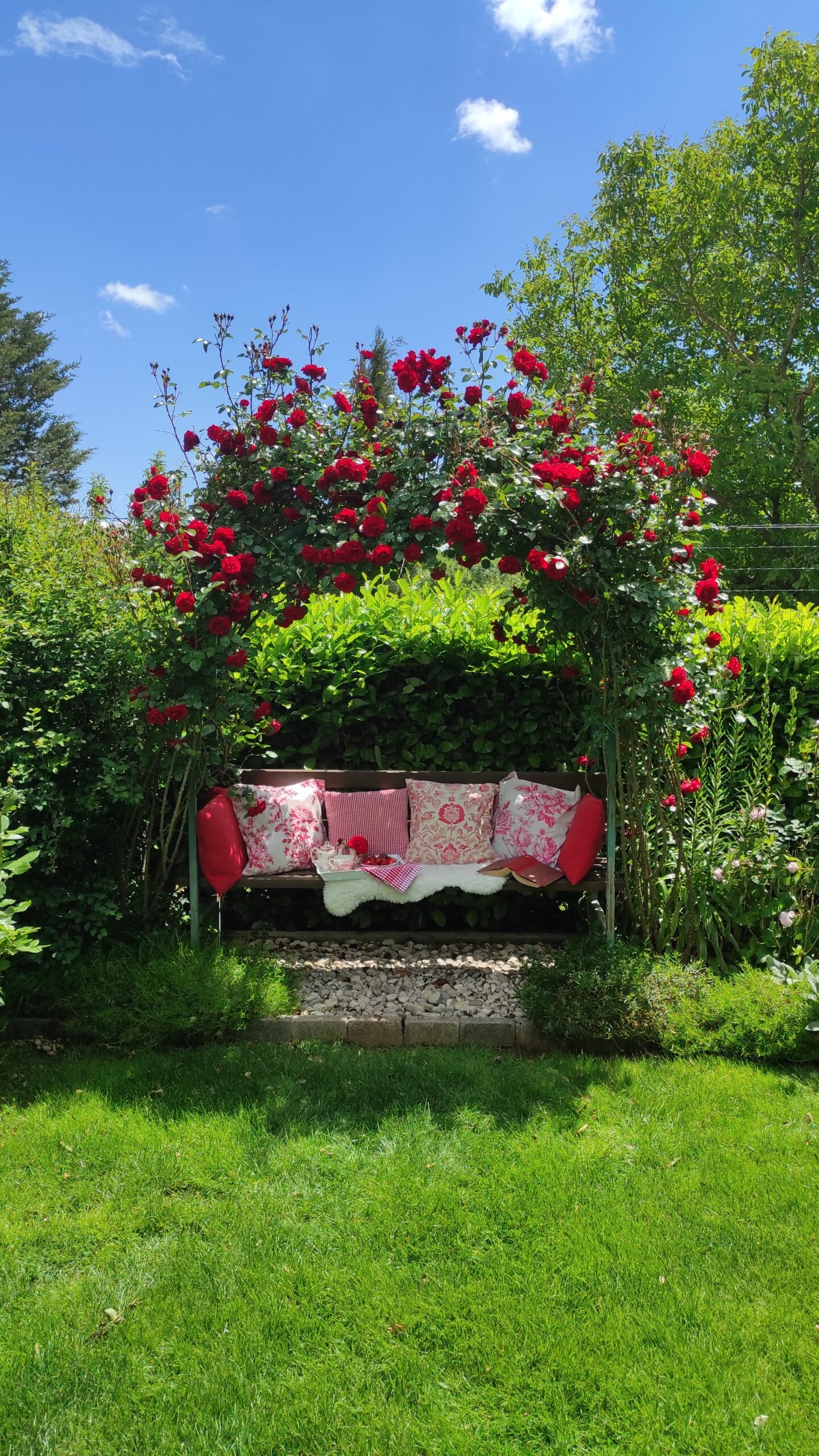 kopija datoteke img 20250527 122345