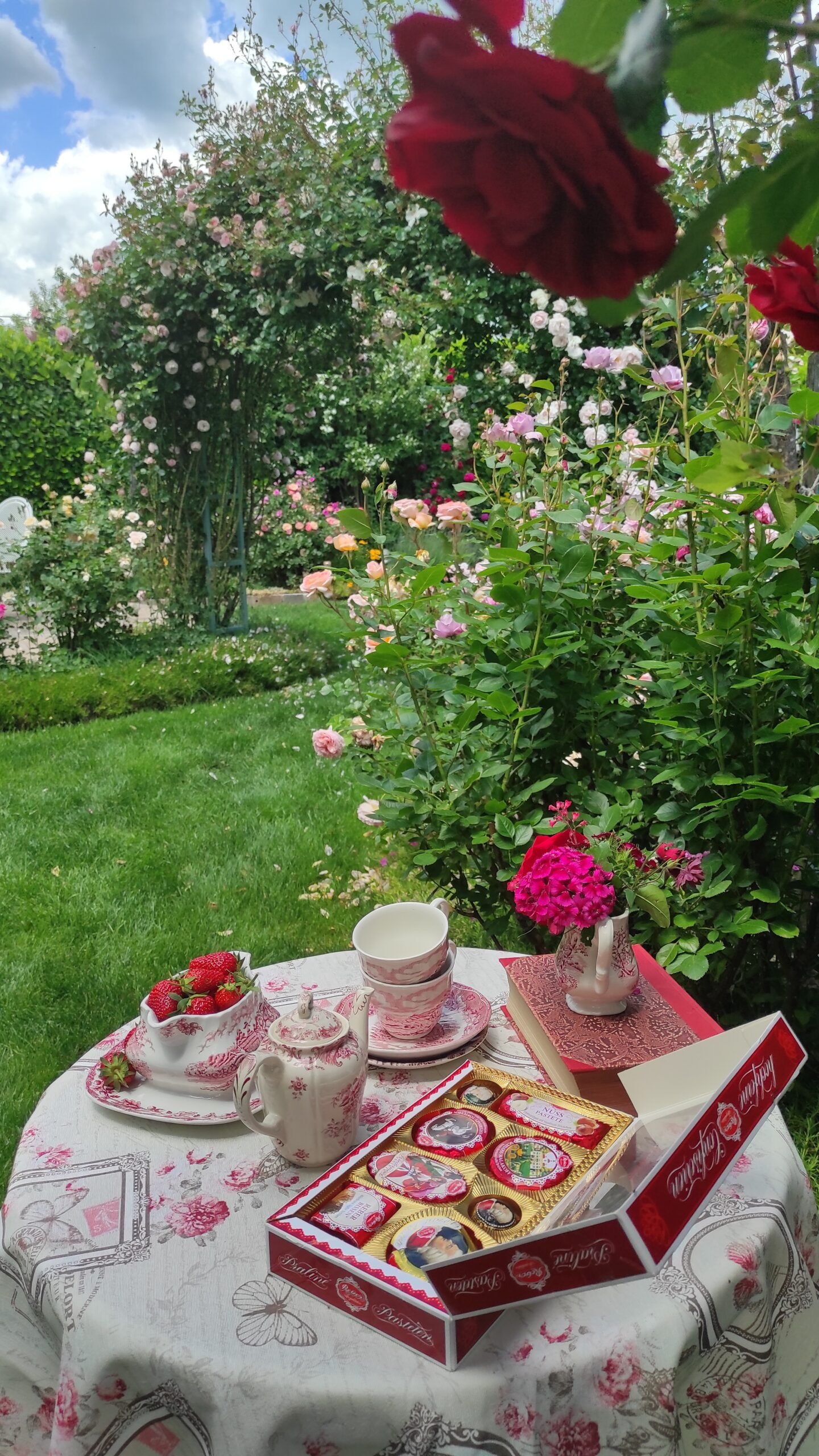 kopija datoteke img 20250527 124607