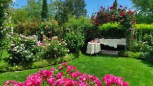 kopija datoteke img 20250527 125121