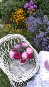 kopija datoteke img 20250616 190627