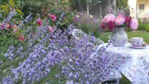 kopija datoteke img 20250616 191341