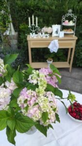 kopija datoteke img 20250624 194051